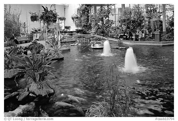 Indoor pond and garden. Calgary, Alberta, Canada