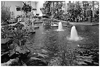 Indoor pond and garden. Calgary, Alberta, Canada (black and white)