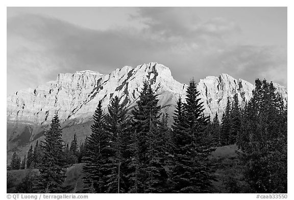 Peaks and conifers near Two Jack Lake, sunrise. Banff National Park, Canadian Rockies, Alberta, Canada