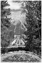 Banff Avenue seen from Cascade Gardens, mid-day. Banff National Park, Canadian Rockies, Alberta, Canada (black and white)