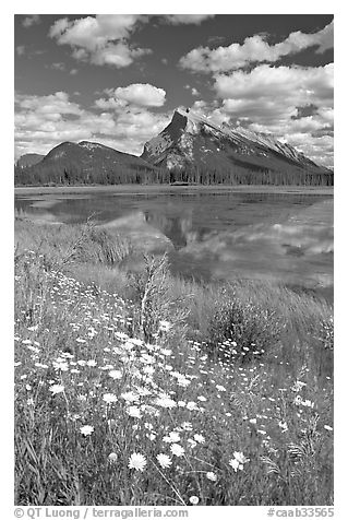 First Vermillon Lake and Mt Rundle, afternoon. Banff National Park, Canadian Rockies, Alberta, Canada (black and white)