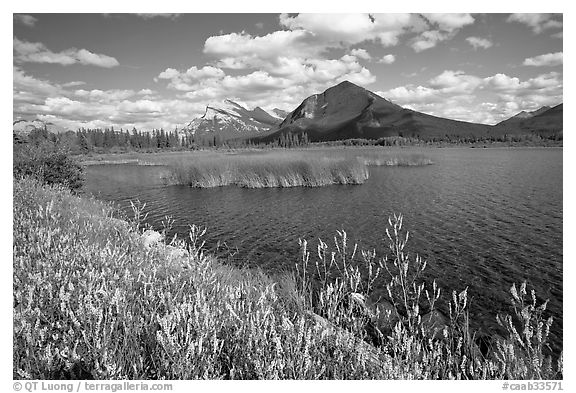 Mt Rundle and second Vermillion lake, afternoon. Banff National Park, Canadian Rockies, Alberta, Canada (black and white)
