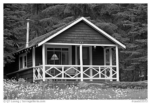 Cabin in forest with interior lights. Banff National Park, Canadian Rockies, Alberta, Canada (black and white)