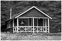 Cabin in forest with interior lights. Banff National Park, Canadian Rockies, Alberta, Canada ( black and white)