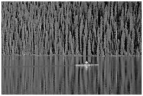 Rower on Lake Louise with forest reflection, early morning. Banff National Park, Canadian Rockies, Alberta, Canada (black and white)