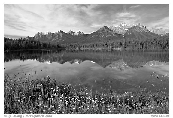 Herbert Lake and the Bow range, morning. Banff National Park, Canadian Rockies, Alberta, Canada (black and white)