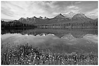 Herbert Lake and the Bow range, morning. Banff National Park, Canadian Rockies, Alberta, Canada ( black and white)