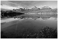 Bow range reflected in Herbert Lake, early morning. Banff National Park, Canadian Rockies, Alberta, Canada (black and white)