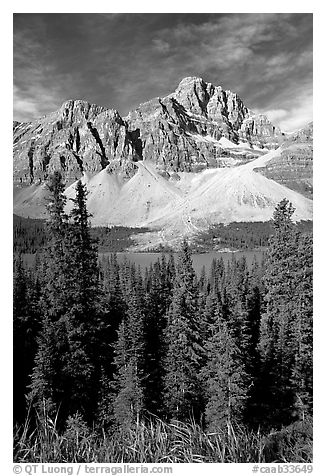 Crowfoot Mountain rising above Bow Lake. Banff National Park, Canadian Rockies, Alberta, Canada (black and white)
