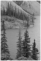 Conifers and blue waters of Moraine Lake. Banff National Park, Canadian Rockies, Alberta, Canada (black and white)