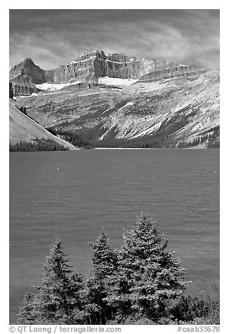 Bow Lake, mid-day. Banff National Park, Canadian Rockies, Alberta, Canada (black and white)