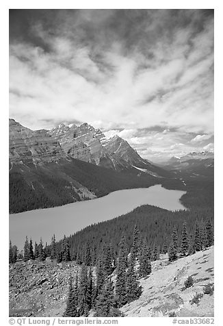 Peyto Lake, turquoise-colored by glacial flour, mid-day. Banff National Park, Canadian Rockies, Alberta, Canada