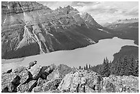 Marmot sitting on a boulder above Peyto Lake. Banff National Park, Canadian Rockies, Alberta, Canada ( black and white)