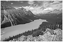 Marmot overlooking Peyto Lake, mid-day. Banff National Park, Canadian Rockies, Alberta, Canada ( black and white)