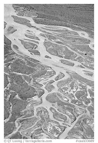 Braided stream on glacial flat near Peyto Lake. Banff National Park, Canadian Rockies, Alberta, Canada