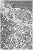 Braided stream on glacial flat near Peyto Lake. Banff National Park, Canadian Rockies, Alberta, Canada ( black and white)