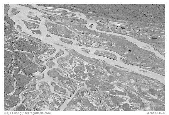 Braided stream on glacial flat near Peyto Lake. Banff National Park, Canadian Rockies, Alberta, Canada