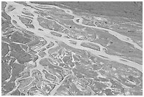 Braided stream on glacial flat near Peyto Lake. Banff National Park, Canadian Rockies, Alberta, Canada ( black and white)