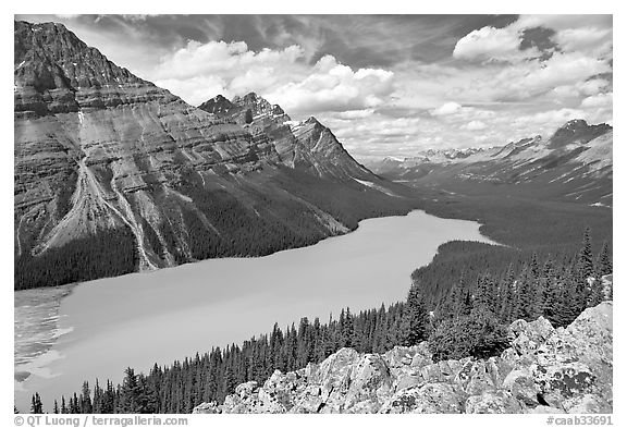 Peyto Lake, with waters colored turquoise by glacial sediments, mid-day. Banff National Park, Canadian Rockies, Alberta, Canada (black and white)