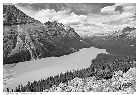 Peyto Lake, with waters colored turquoise by glacial sediments, mid-day. Banff National Park, Canadian Rockies, Alberta, Canada