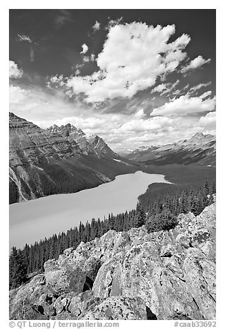 Turquoise Peyto Lake. Banff National Park, Canadian Rockies, Alberta, Canada (black and white)