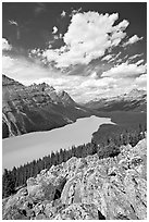 Turquoise Peyto Lake. Banff National Park, Canadian Rockies, Alberta, Canada (black and white)