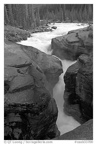 Entrance of slot, Mistaya Canyon. Banff National Park, Canadian Rockies, Alberta, Canada