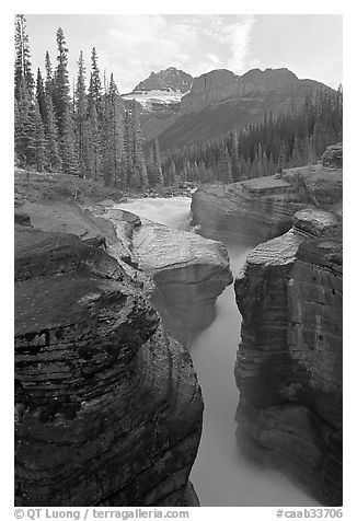 Mount Sarbach and Mistaya Canyon. Banff National Park, Canadian Rockies, Alberta, Canada (black and white)