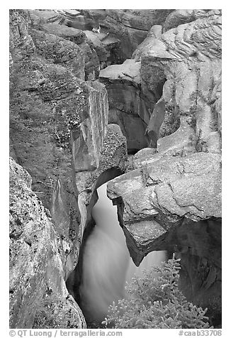 Limestone rock carved by river, Mistaya Canyon. Banff National Park, Canadian Rockies, Alberta, Canada (black and white)