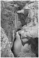 Limestone rock carved by river, Mistaya Canyon. Banff National Park, Canadian Rockies, Alberta, Canada ( black and white)