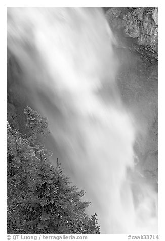 Water and trees, Panther Falls. Banff National Park, Canadian Rockies, Alberta, Canada (black and white)