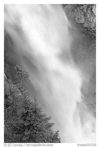 Water and trees, Panther Falls. Banff National Park, Canadian Rockies, Alberta, Canada (black and white)