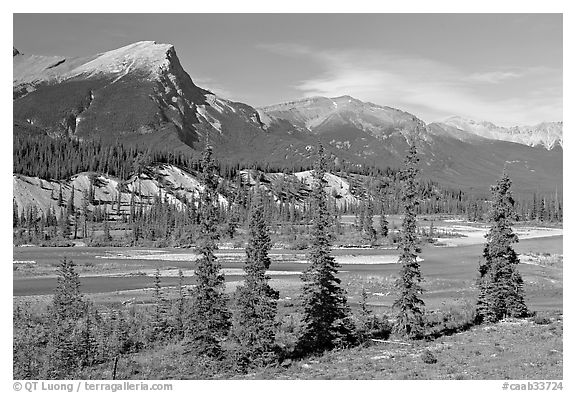 Saskatchevan River. Banff National Park, Canadian Rockies, Alberta, Canada (black and white)