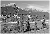 Saskatchevan River. Banff National Park, Canadian Rockies, Alberta, Canada ( black and white)