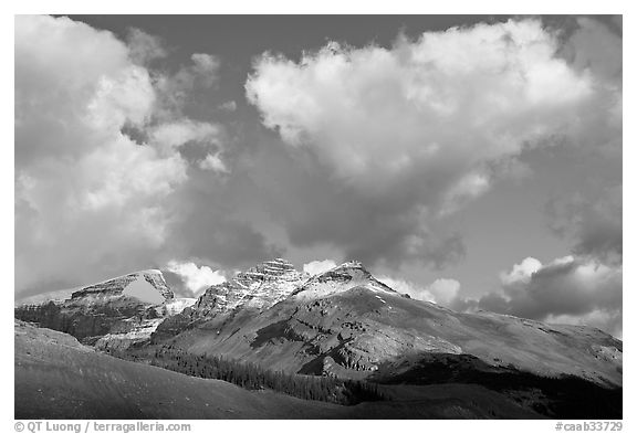 Peak and cloud near the Columbia Icefield,  early morning. Jasper National Park, Canadian Rockies, Alberta, Canada