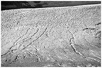 Crevasse patters on Athabasca Glacier. Jasper National Park, Canadian Rockies, Alberta, Canada (black and white)