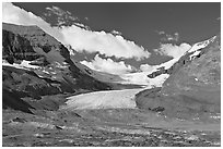 Athabasca Glacier flowing out of the Columbia Icefield, morning. Jasper National Park, Canadian Rockies, Alberta, Canada (black and white)