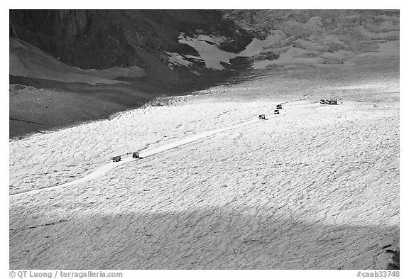 Distant view of snowcoaches transporting tourists on the Athabasca Glacier. Jasper National Park, Canadian Rockies, Alberta, Canada