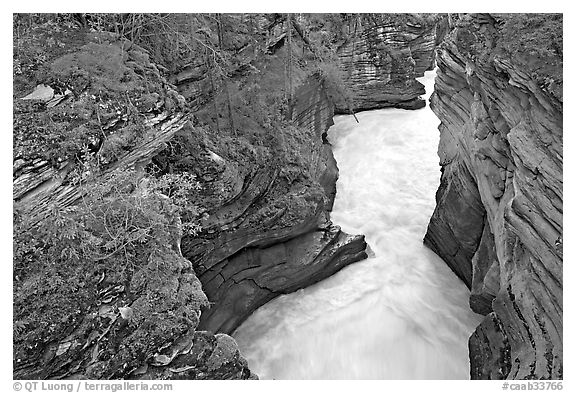 Canyon at the base of Athabasca Falls. Jasper National Park, Canadian Rockies, Alberta, Canada