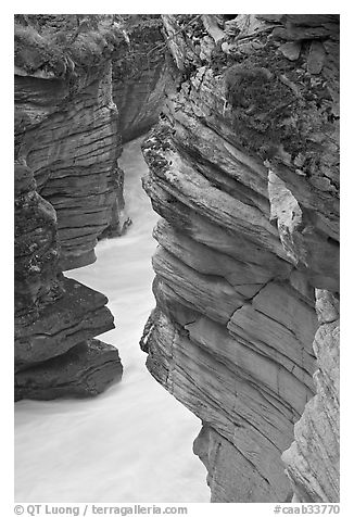 Gorge at the base of Athabasca Falls. Jasper National Park, Canadian Rockies, Alberta, Canada