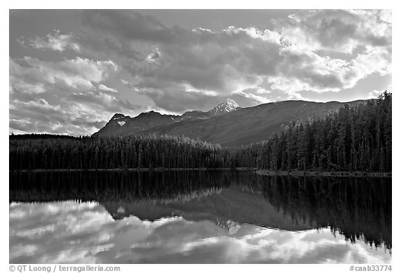 Peaks and clouds reflected in Leach Lake, sunset. Jasper National Park, Canadian Rockies, Alberta, Canada