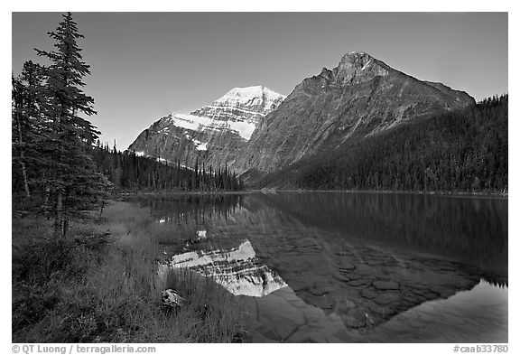 Cavell Lake and Mt Edith Cavell, sunrise. Jasper National Park, Canadian Rockies, Alberta, Canada