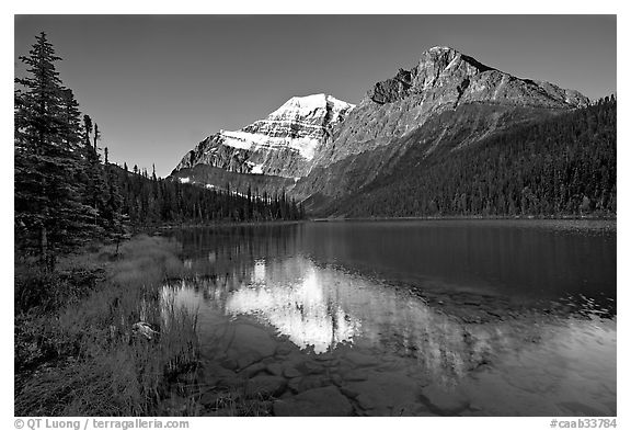 Cavell Lake and Mt Edith Cavell, early morning. Jasper National Park, Canadian Rockies, Alberta, Canada (black and white)