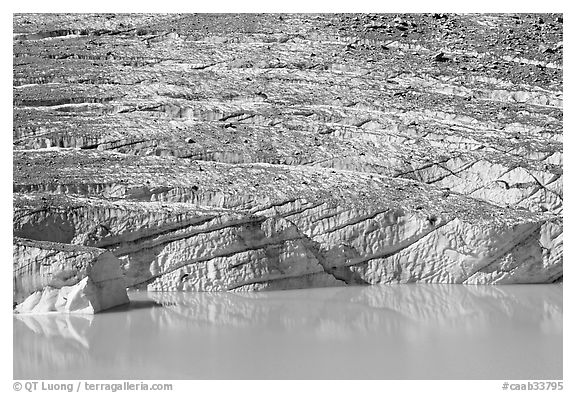 Cavell Glacier calving into a glacial lake. Jasper National Park, Canadian Rockies, Alberta, Canada (black and white)