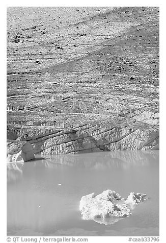 Iceberg, Cavell Pond, and Cavell Glacier. Jasper National Park, Canadian Rockies, Alberta, Canada