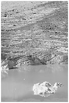 Iceberg, Cavell Pond, and Cavell Glacier. Jasper National Park, Canadian Rockies, Alberta, Canada ( black and white)