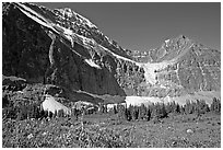 Cavell Meadows, Mt Edith Cavell, and Angel Glacier, morning. Jasper National Park, Canadian Rockies, Alberta, Canada (black and white)