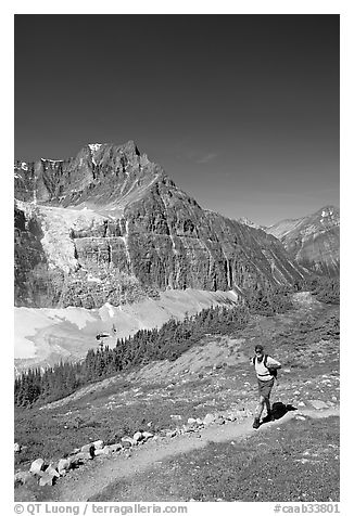 Hiker on a trail below Angel Glacier. Jasper National Park, Canadian Rockies, Alberta, Canada