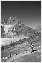Hiker on a trail below Angel Glacier. Jasper National Park, Canadian Rockies, Alberta, Canada (black and white)