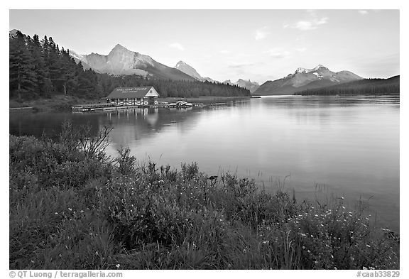 Wildflowers, Maligne Lake and boathouse, sunset. Jasper National Park, Canadian Rockies, Alberta, Canada